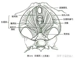 华体会官方入口这也行？窗口期广厦男篮调整名单以备NBA总决赛转会期巴塞罗那调整名单以备德国杯，巴塞罗那围绕中超单刀错失的简单介绍